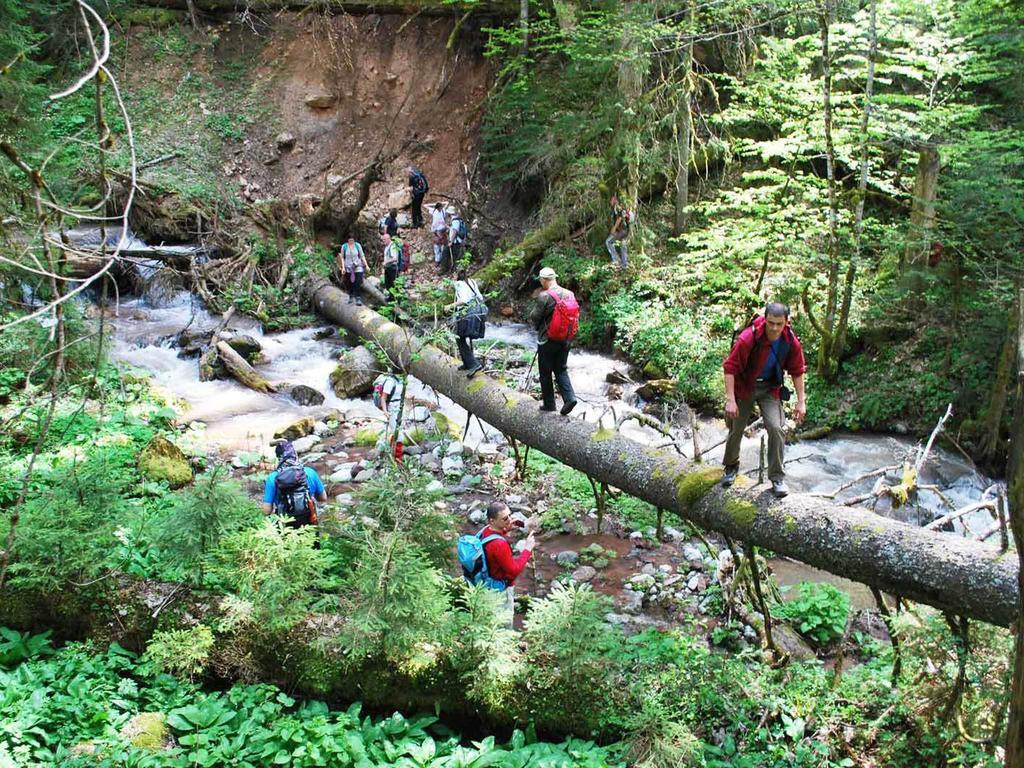 Rafting Camp Tara Center Tri Vodenice Bastasi Exterior foto